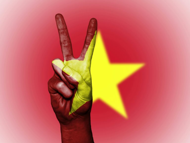 Hand showing peace sign with Vietnamese flag overlay, symbolizing unity and patriotism.