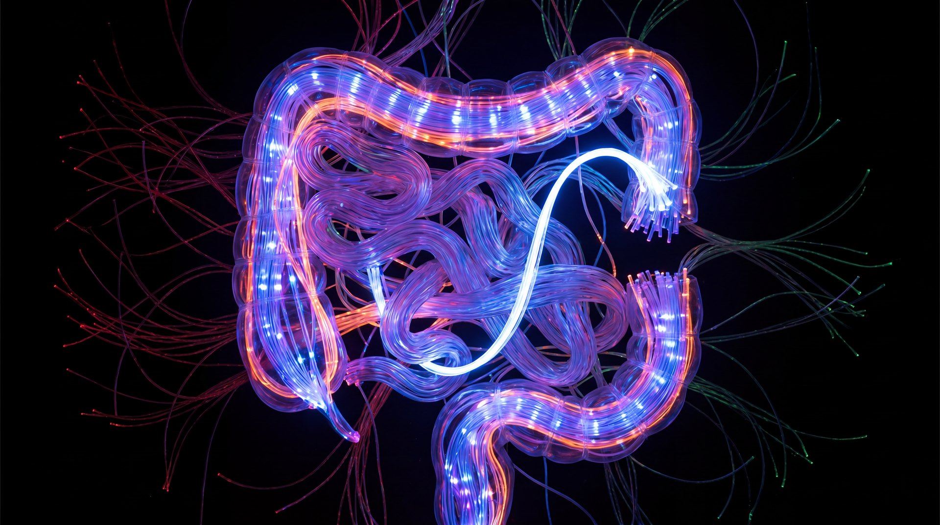 AI’s Inner Voice: Can a ‘Gut Feeling’ Unlock True Machine Intelligence?